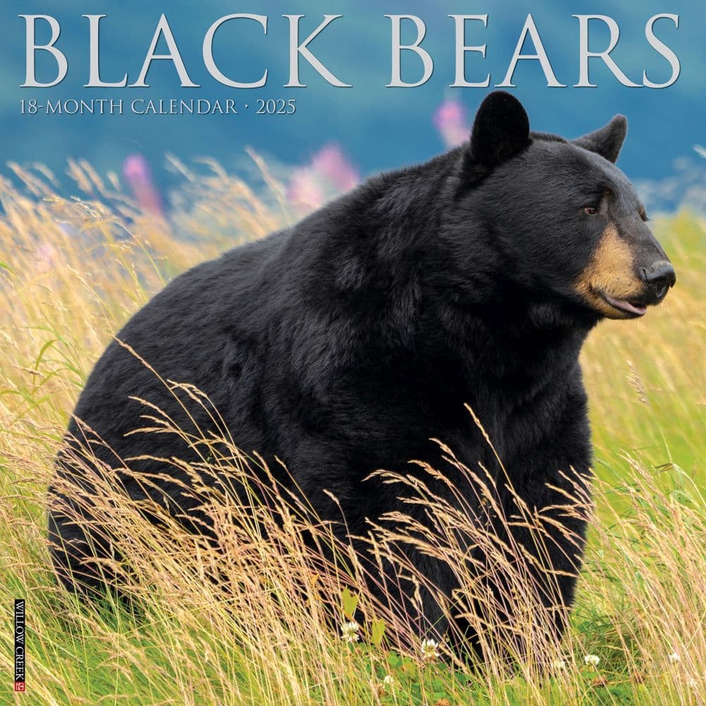 Black Bears 2025 Wall Calendar