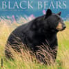 image Black Bears 2025 Wall Calendar  Main Image