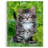 image Kittens 2025 Engagement Planner Main Image