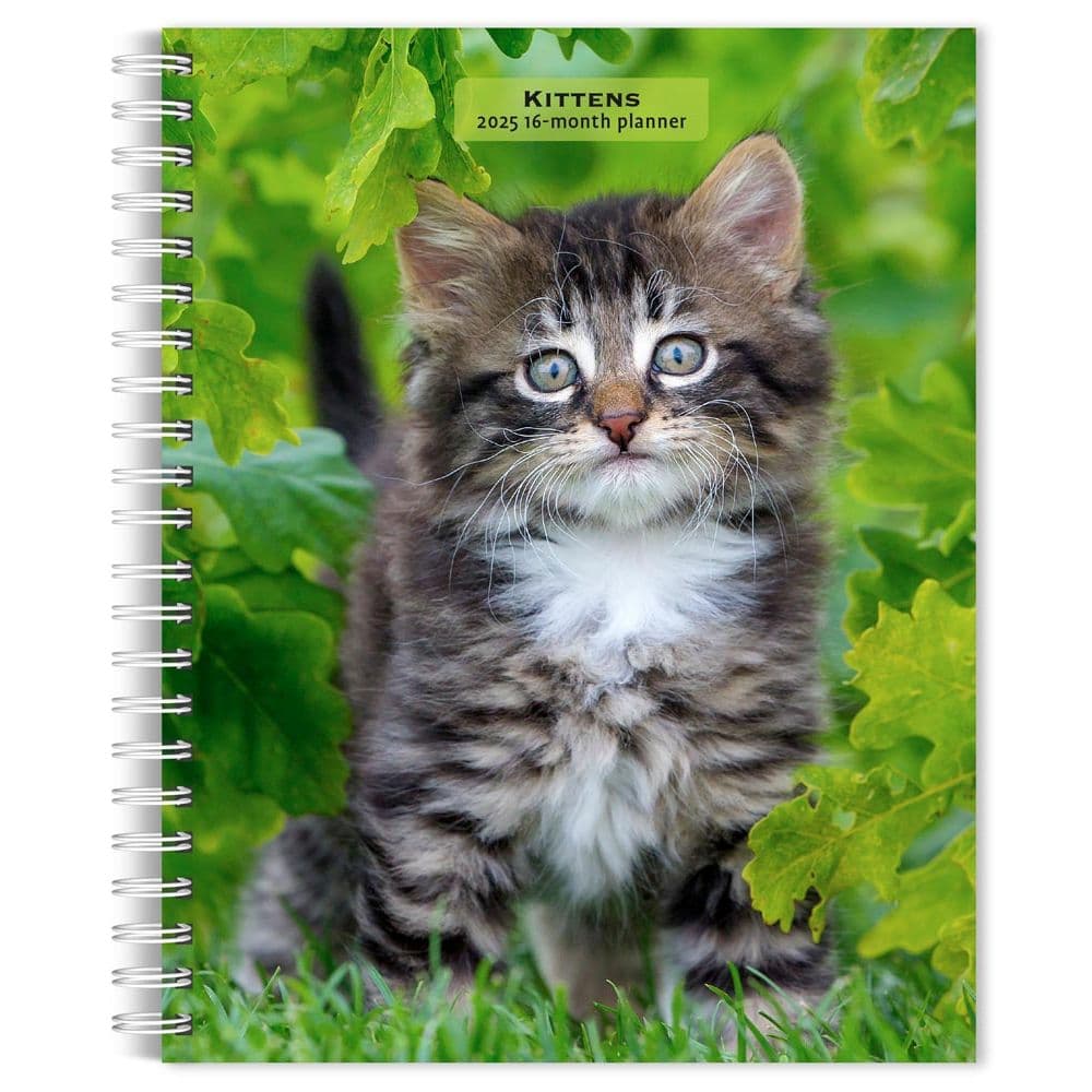 Kittens 2025 Engagement Planner