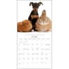 image Bunnies and Friends 2024 Wall Calendar Fourth Alternate Image width=&quot;1000&quot; height=&quot;1000&quot;