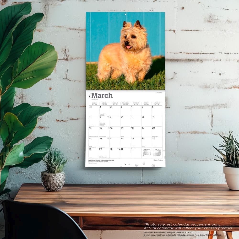 Cairn Terriers 2027 Wall Calendar Fourth Alternate Image