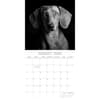 image Dog Portraits 2025 Wall Calendar Third Alternate Image width=&quot;1000&quot; height=&quot;1000&quot;