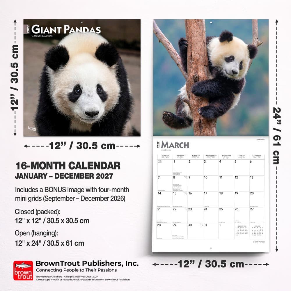 Pandas 2027 Wall Calendar Sixth Alternate Image