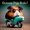 image Guinea Pigs Rule 2025 Wall Calendar Main Image