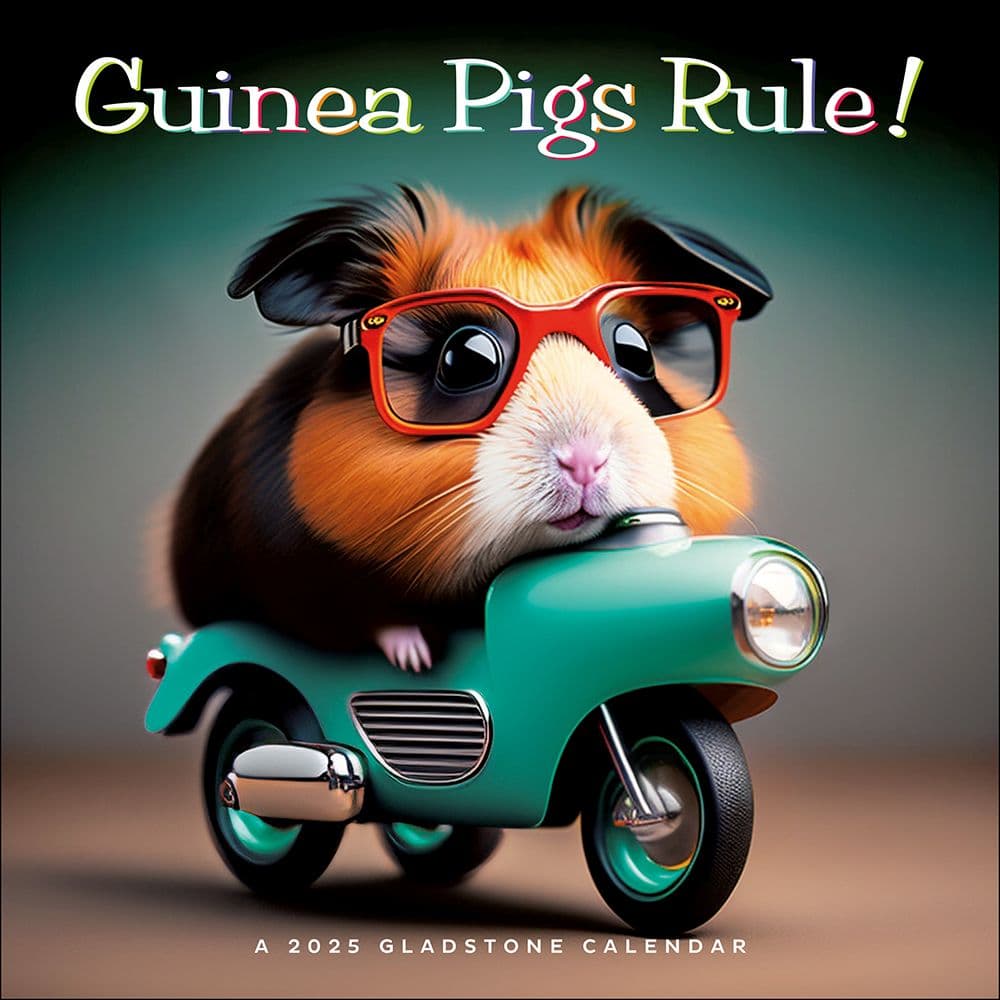 Guinea Pigs Rule 2025 Wall Calendar Main Image