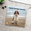 image English Springer Spaniels 2024 Wall Calendar Fifth Alternate Image width=&quot;1000&quot; height=&quot;1000&quot;