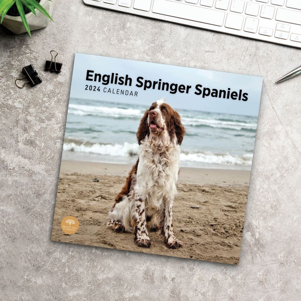 English Springer Spaniels 2024 Wall Calendar Fifth Alternate Image width=&quot;1000&quot; height=&quot;1000&quot;