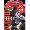 image Florida Gators Large Gogo Gift Bag Alternate Image 2