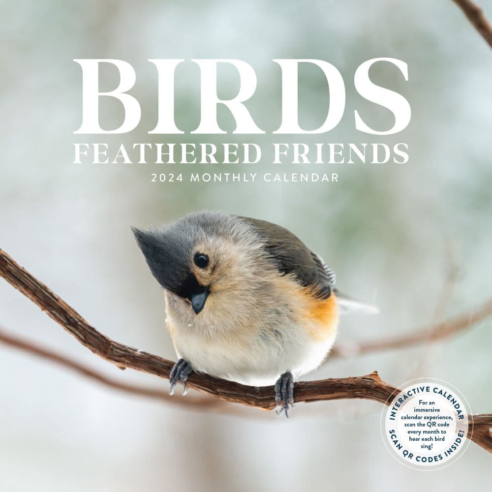 Birds Feathered Friends 2024 Wall Calendar