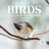 image Birds Feathered Friends 2024 Wall Calendar Main Product Image width=&quot;1000&quot; height=&quot;1000&quot;
