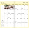 image Kitten Cuddles 2 Year 2026 Pocket Planner First Alternate Image