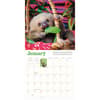 image Sloths 2027 Wall Calendar 
Second Alternate Image
