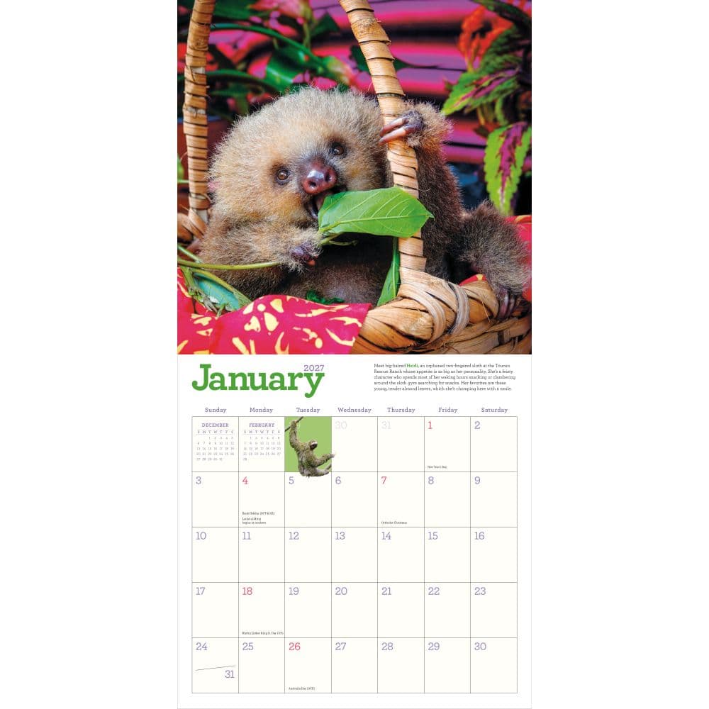 Sloths 2027 Wall Calendar 
Second Alternate Image