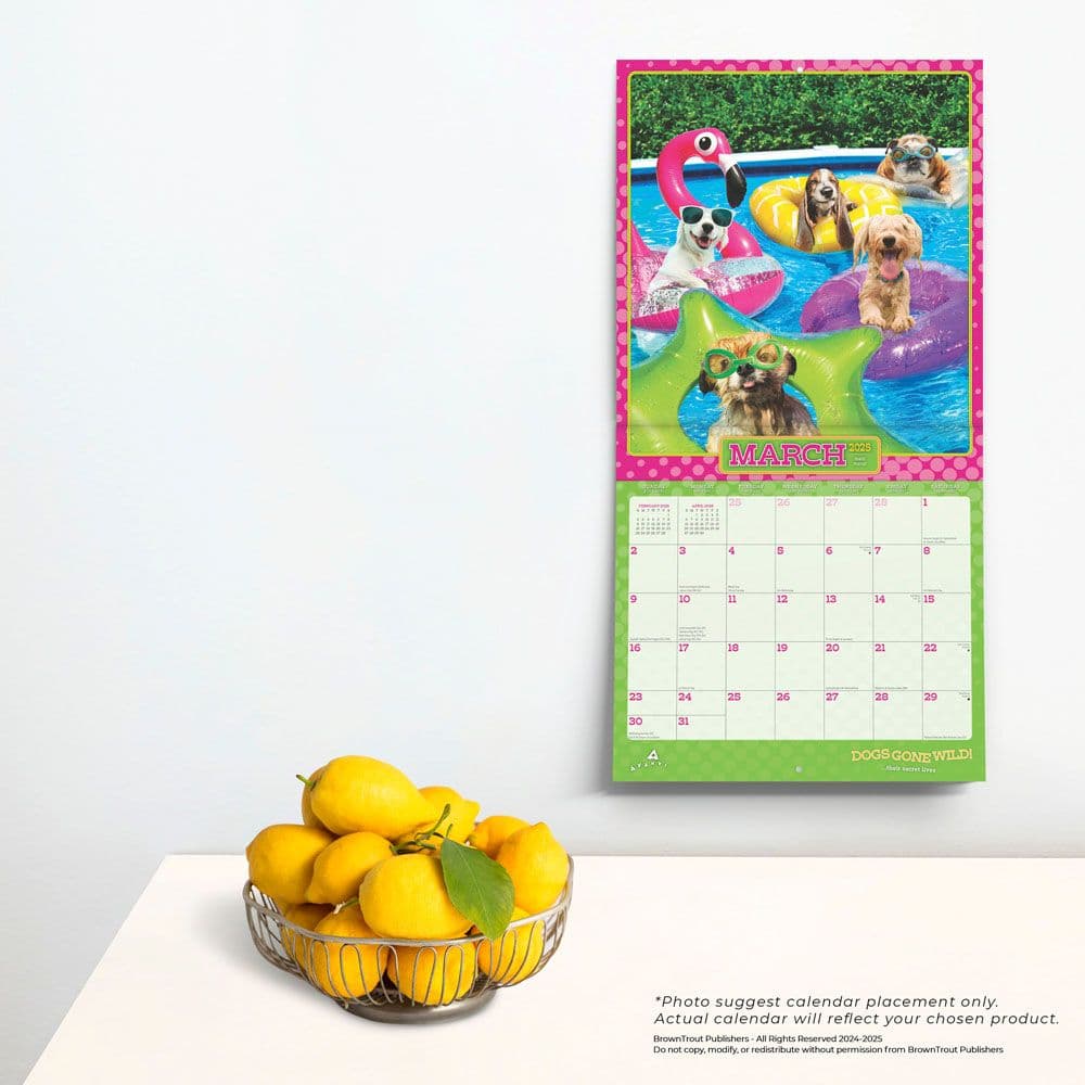 Avanti Dog Days 2025 Wall Calendar Third Alternate Image width=&quot;1000&quot; height=&quot;1000&quot;