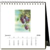 image Fruit 2026 Easel Desk Calendar Second Alternate Image