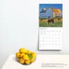 image Barns 2025 Wall Calendar
