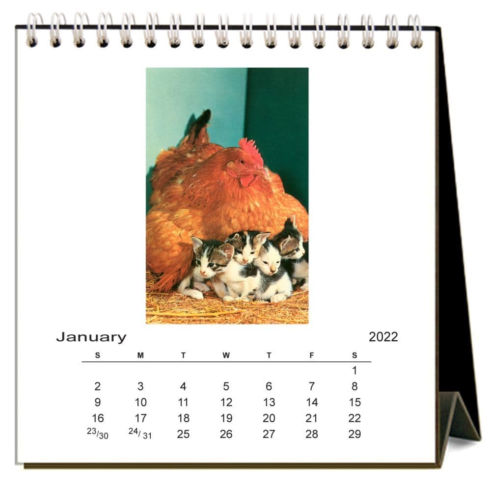 Just Plain Weird 2022 Desk Calendar Calendars Com