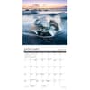 image Ocean View 2025 Mini Wall Calendar Second Alternate Image width=&quot;1000&quot; height=&quot;1000&quot;