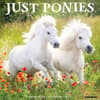 image Ponies 2025 Wall Calendar Main Image