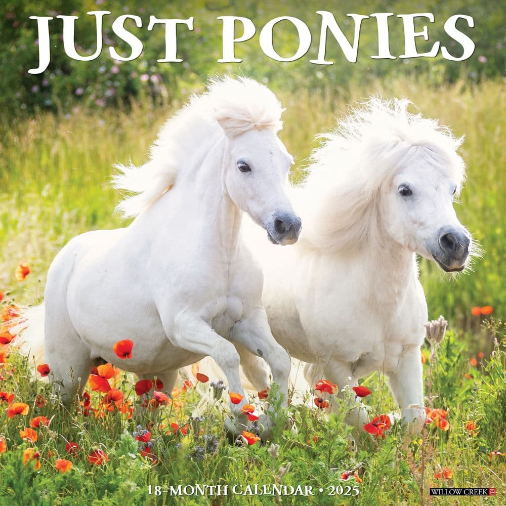 Ponies 2025 Wall Calendar