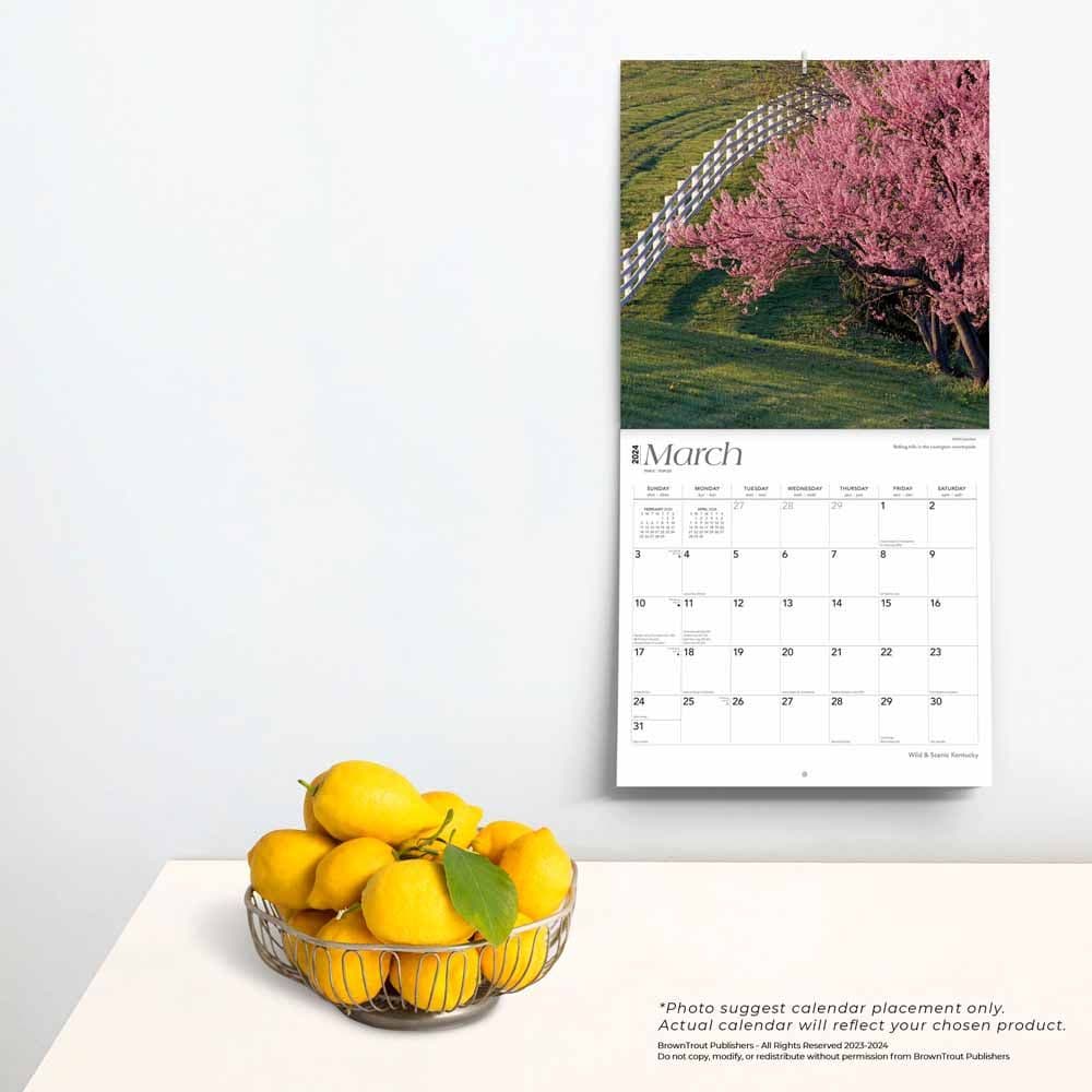 Kentucky Wild and Scenic 2024 Wall Calendar