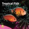 image Tropical Fish 2025 Wall Calendar Main Image