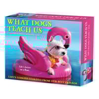 image What Dogs Teach Us 2026 Desk Calendar Main Product Image