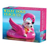 image What Dogs Teach Us 2026 Desk Calendar Main Product Image