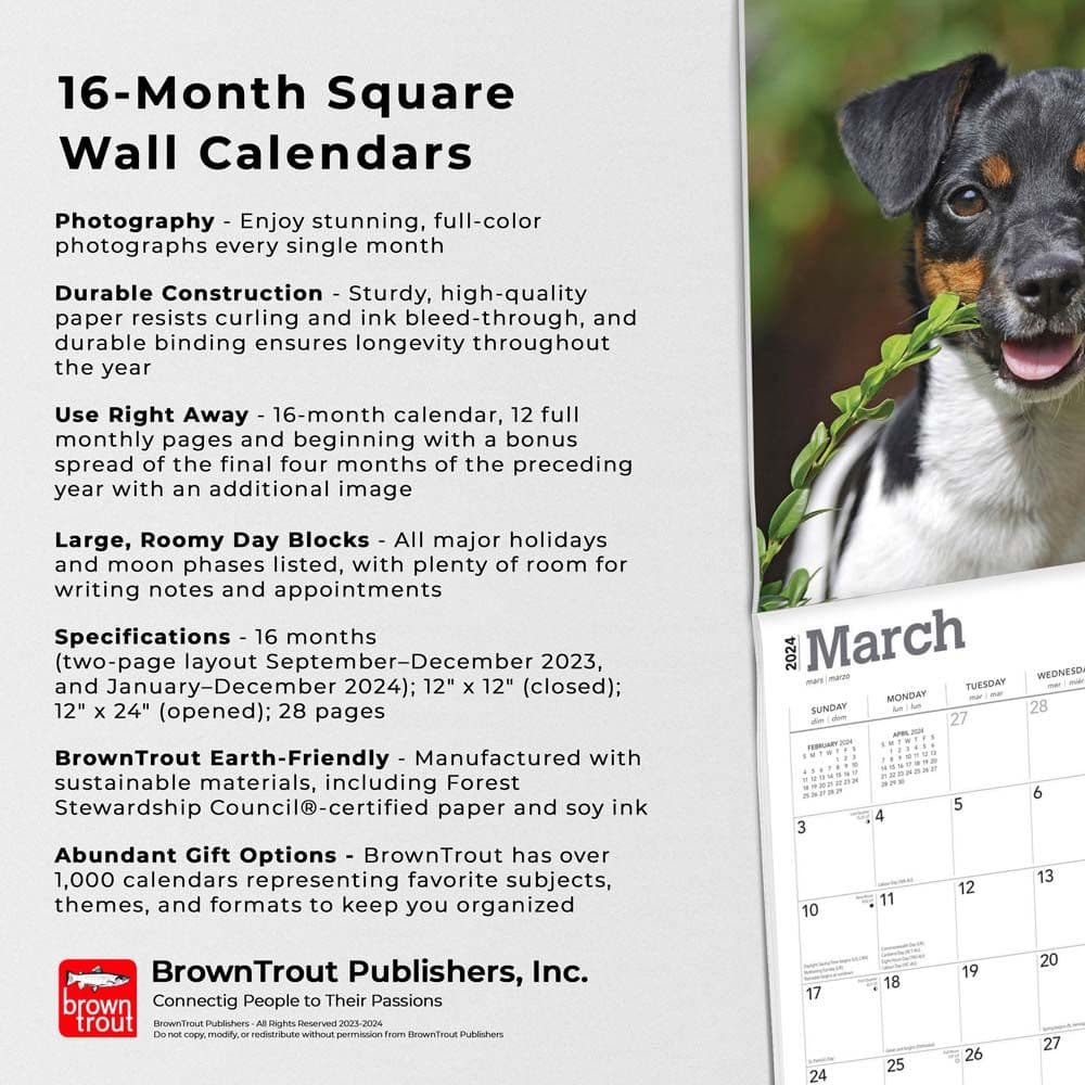 Jack Russell Terriers 2024 Wall Calendar