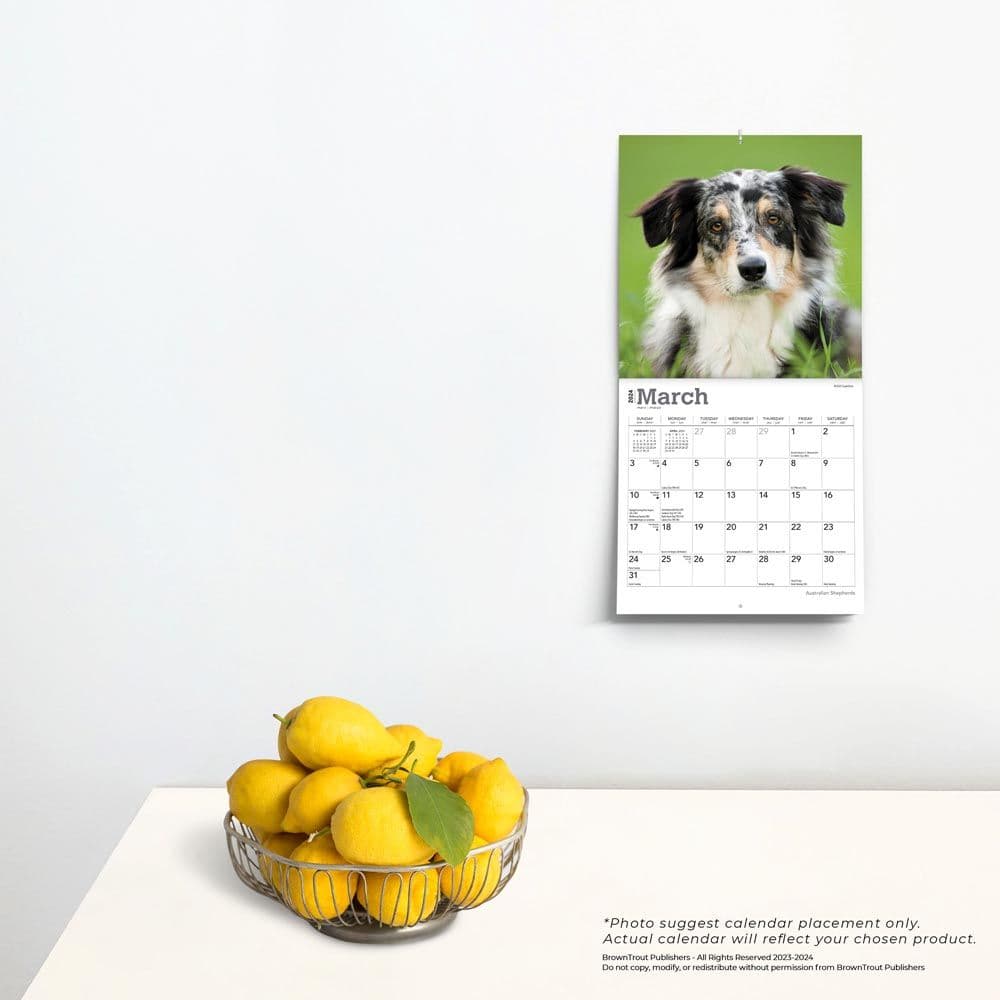 Australian Shepherd 2024 Mini Wall Calendar