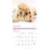 image Playful Puppies 2026 Wall Calendar Fourth Alternate Image