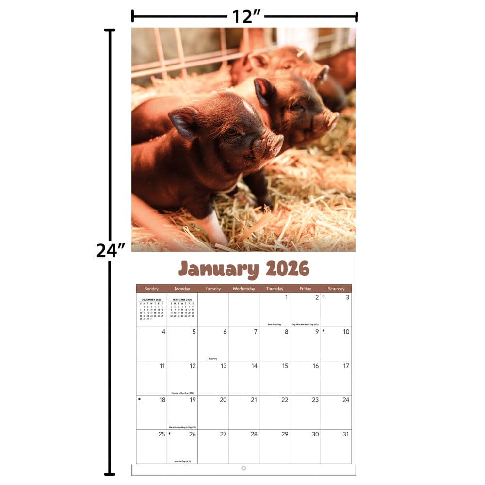 Baby Animals Photo 2026 Wall Calendar_ALT5