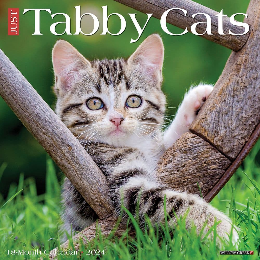 Tabby Cats 2024 Wall Calendar