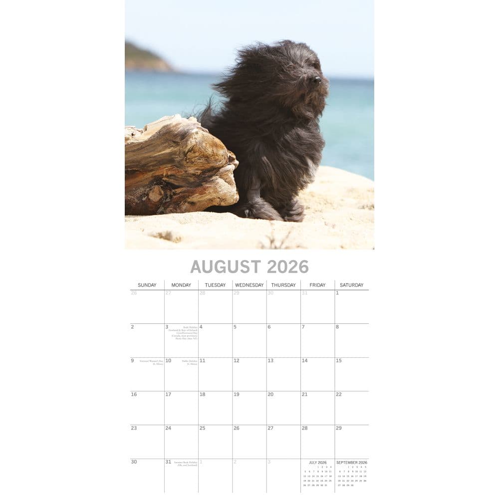 Dogs in the Wind 2026 Wall Calendar Third Alternate Image