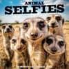 image Animal Selfies 2025 Wall Calendar Main Image