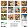 image Just Yellow Labs 2026 Wall Calendar First Alternate Image