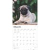 image Pug Puppies 2025 Wall Calendar Second Alternate Image