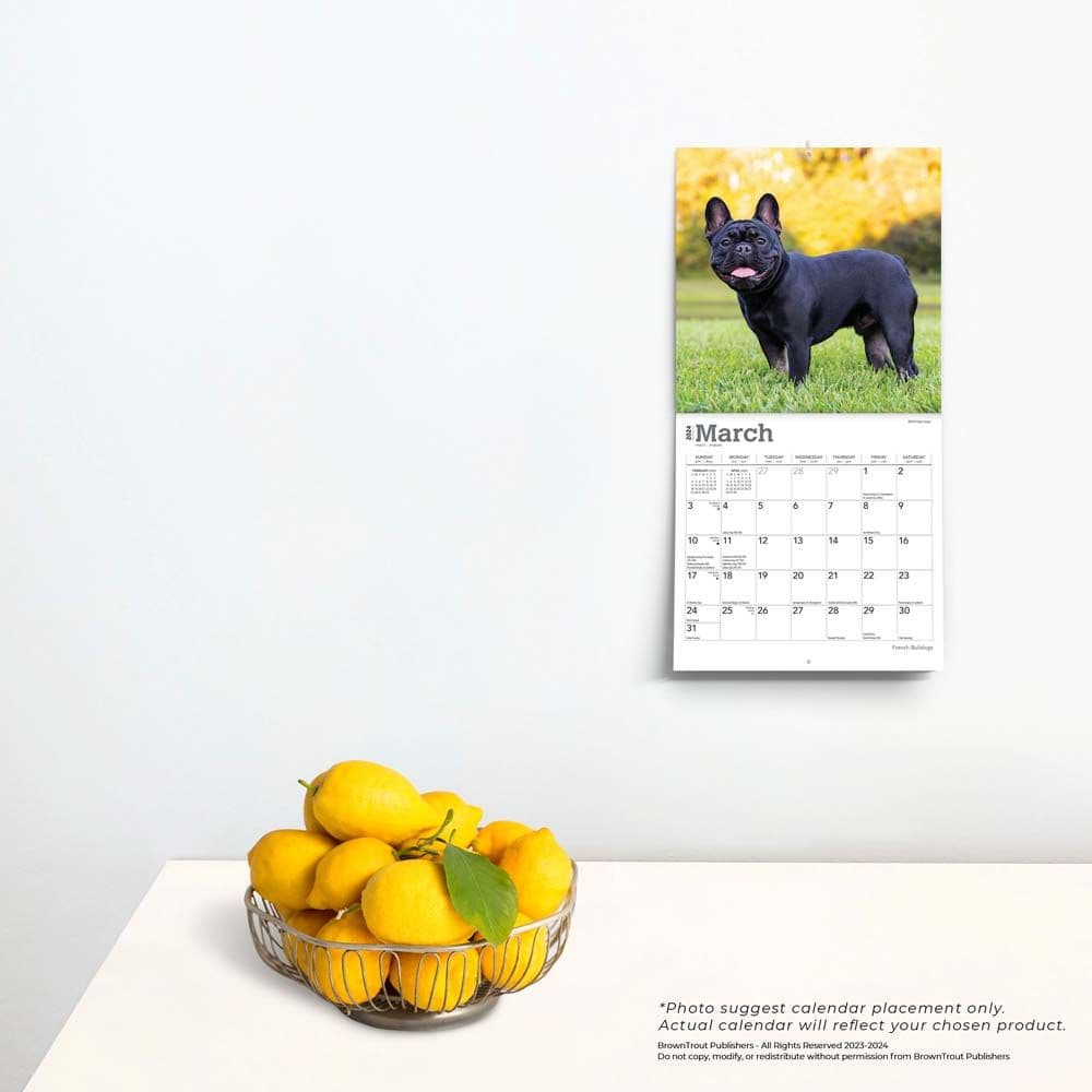 French Bulldogs 2024 Mini Wall Calendar Third Alternate Image width=&quot;1000&quot; height=&quot;1000&quot;