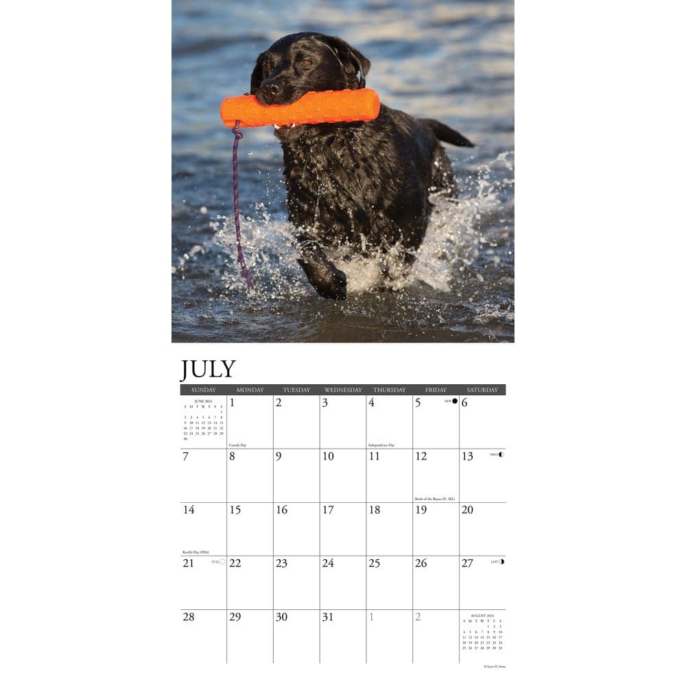 Just Labs 2024 Wall Calendar