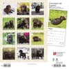 image Chocolate Lab Retriever Puppies 2024 Wall Calendar First Alternate Image width=&quot;1000&quot; height=&quot;1000&quot;