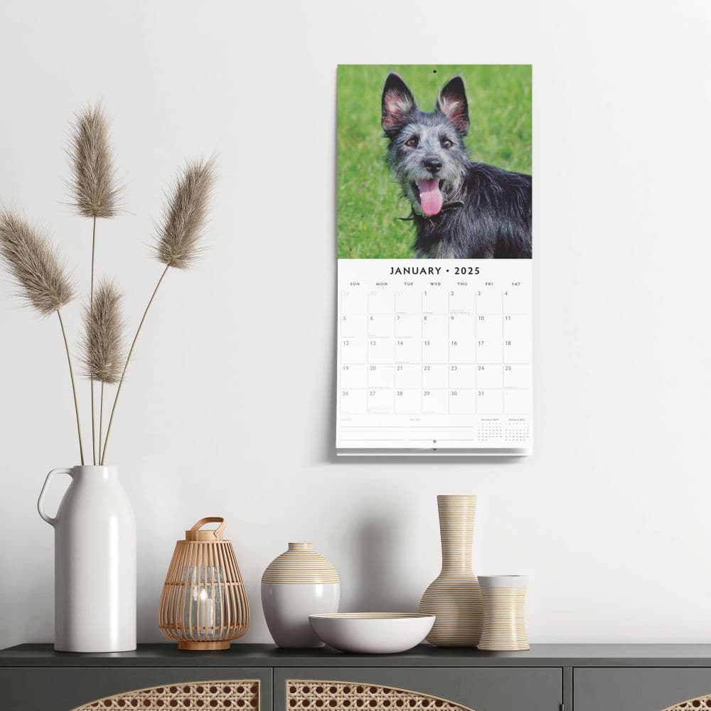 Crossbreeds 2025 Wall Calendar Fourth Alternate Image width=&quot;1000&quot; height=&quot;1000&quot;