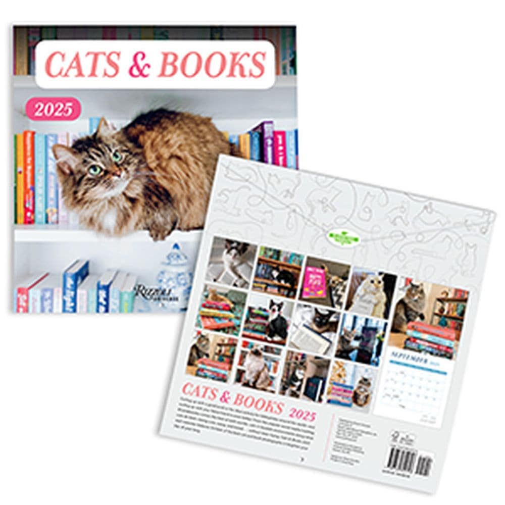 Cats and Books 2025 Wall Calendar Sixth Alternate Image width=&quot;1000&quot; height=&quot;1000&quot;