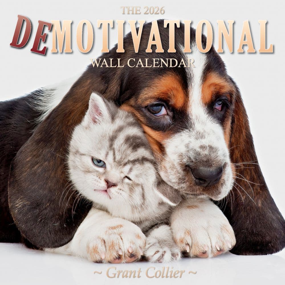 Demotivational 2026 Wall Calendar Main Product Image