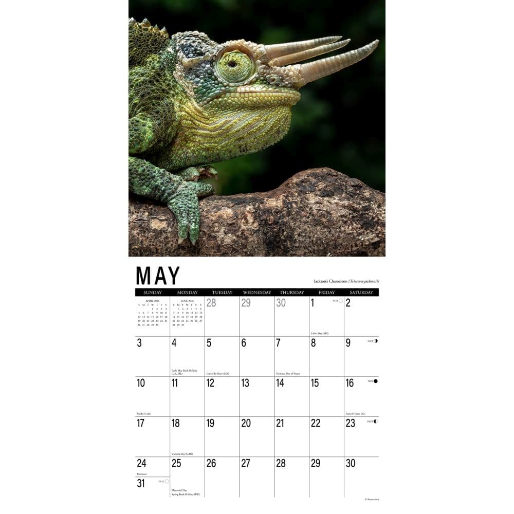 Scales 2026 Wall Calendar Second Alternate Image