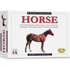 image Eyewitness Kit Horse Main Product Image
