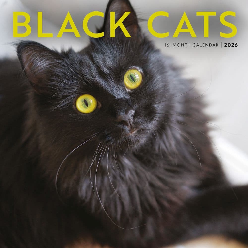 Black Cats 2026 Wall Calendar   Main Image