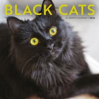 image Black Cats 2026 Wall Calendar   Main Image