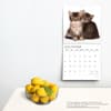 image Happy Kittens 2024 Wall Calendar Alternate Image 3