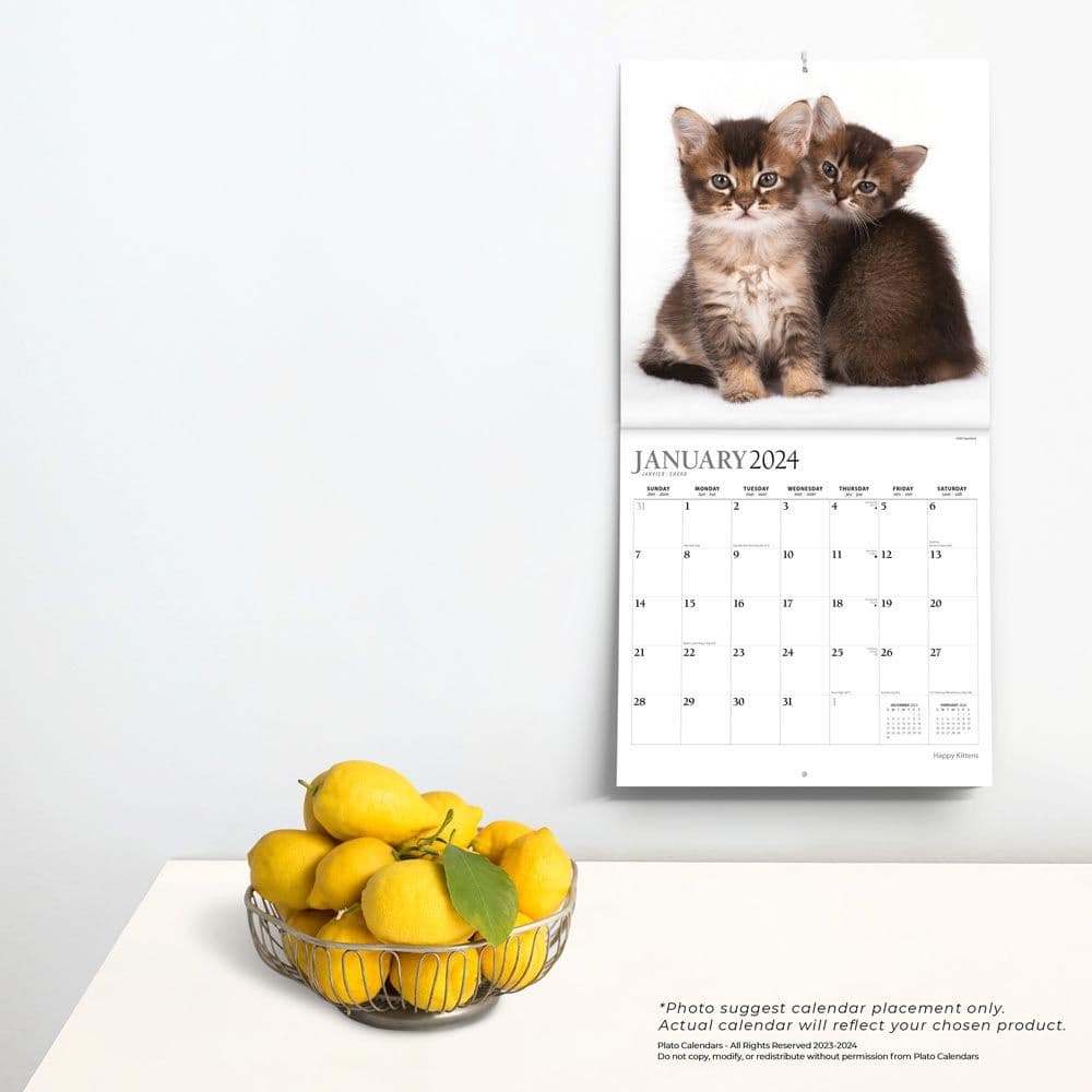 Happy Kittens 2024 Wall Calendar Alternate Image 3